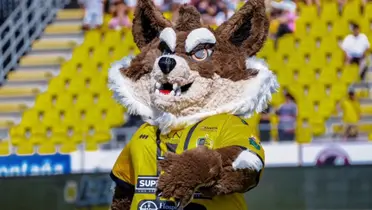 La botarga oficial del Municipal Liberia es un coyote y hasta tendrá canción.