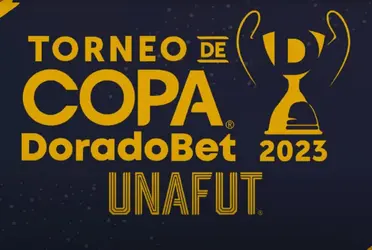 Las semifinales del Torneo de Copa ya tienen sedes definidas.