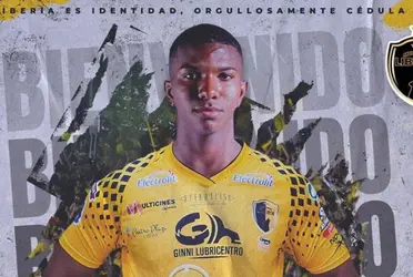 Manudos tendrían nuevo león en sus filas